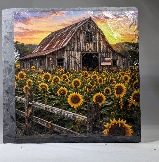 sunflower coaster #1