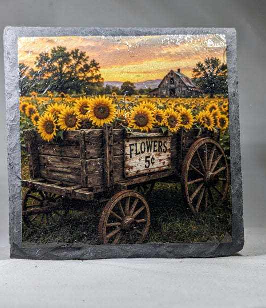 sunflower coaster #3